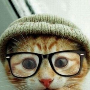 Meet your Posher, Cindy